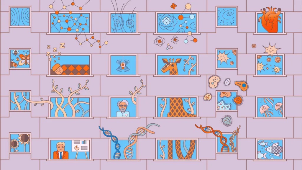 Illustration by Sandbox Studio, Chicago
