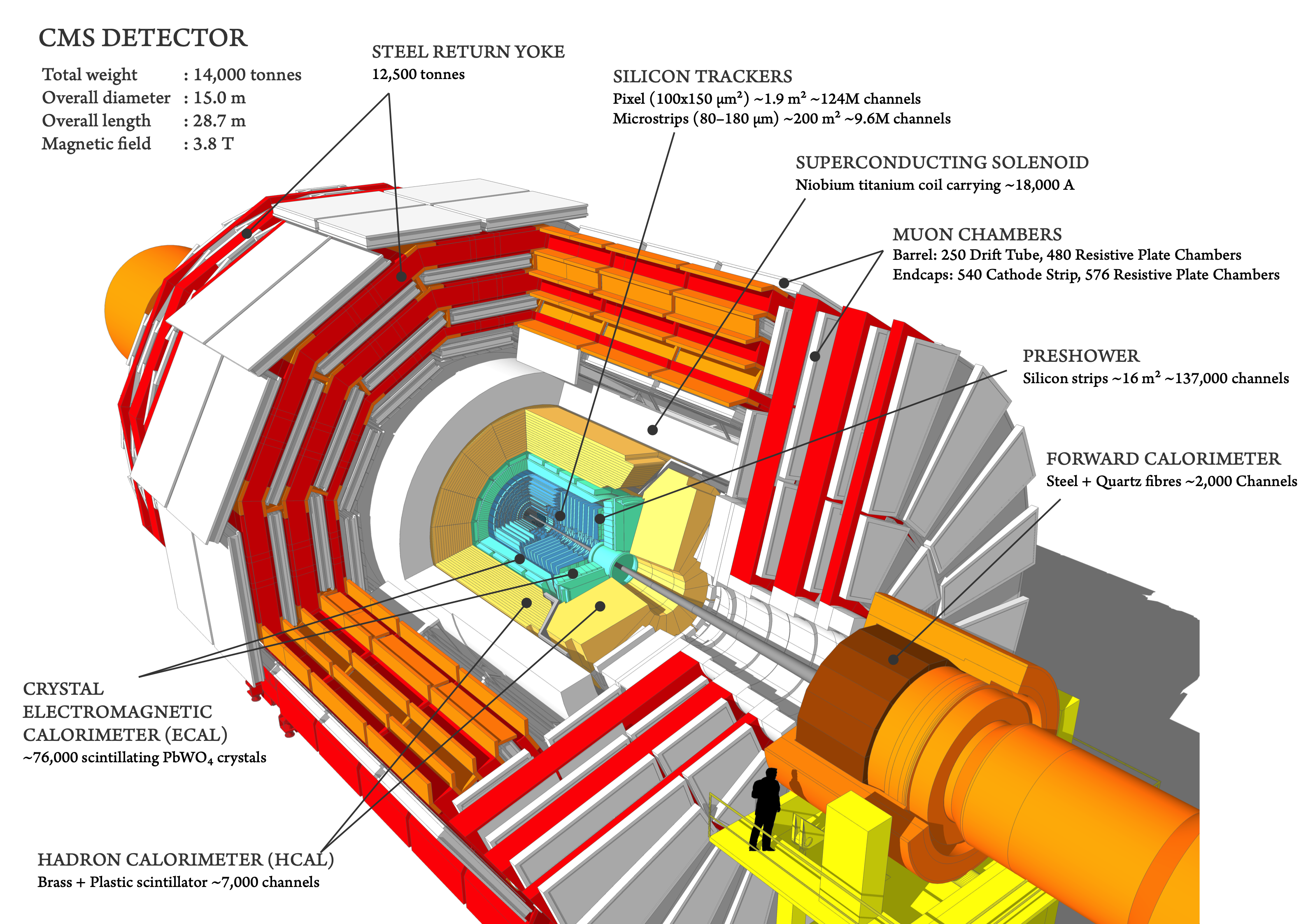 The CMS detector cut away diagram that inspired the shape of the 3D model