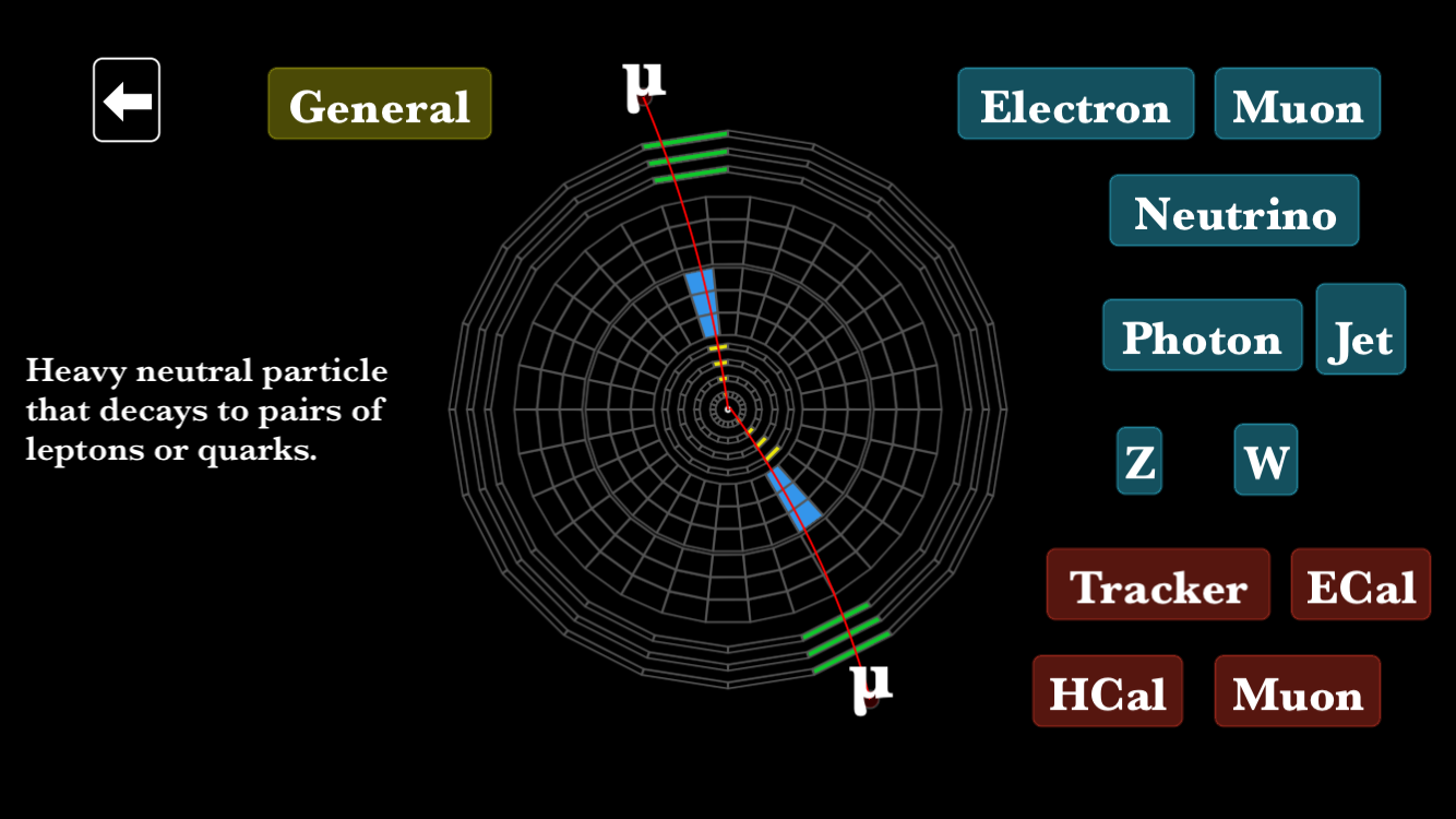 Learning mode of the game to study interactions of elementary particles in the detector